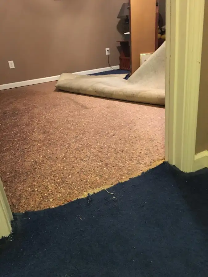 Carpet pad removal revealing water damage during Water Mitigation Services in Naugatuck